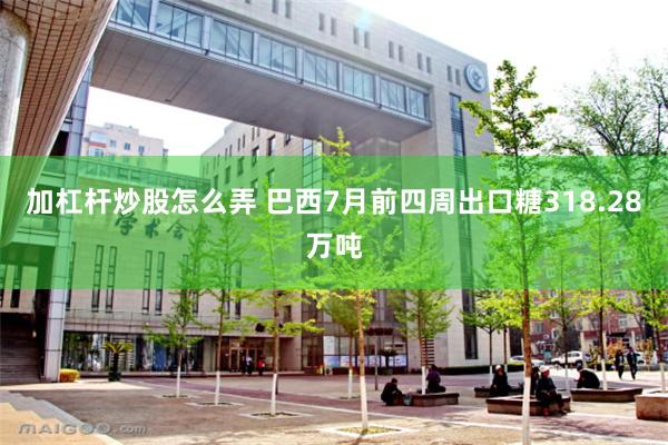 加杠杆炒股怎么弄 巴西7月前四周出口糖318.28万吨