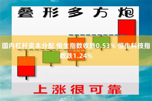 国内杠杆资本分配 恒生指数收跌0.53% 恒生科技指数跌1.24%