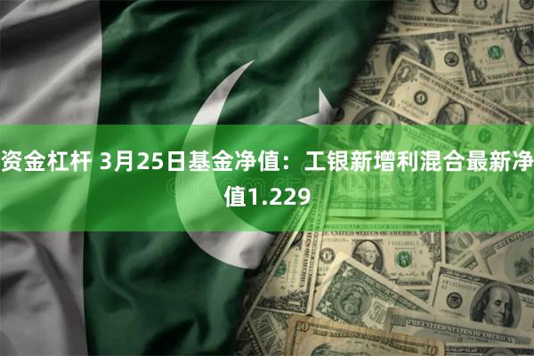 资金杠杆 3月25日基金净值：工银新增利混合最新净值1.229
