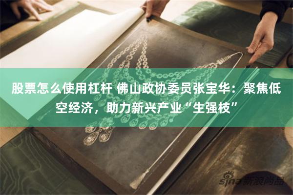 股票怎么使用杠杆 佛山政协委员张宝华：聚焦低空经济，助力新兴产业“生强枝”