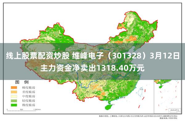线上股票配资炒股 维峰电子（301328）3月12日主力资金净卖出1318.40万元