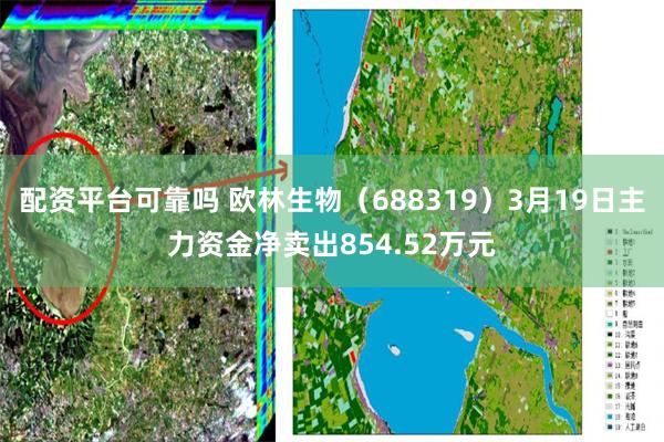 配资平台可靠吗 欧林生物（688319）3月19日主力资金净卖出854.52万元