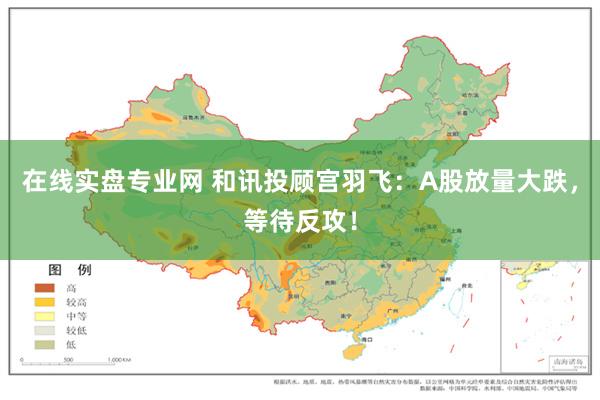 在线实盘专业网 和讯投顾宫羽飞：A股放量大跌，等待反攻！