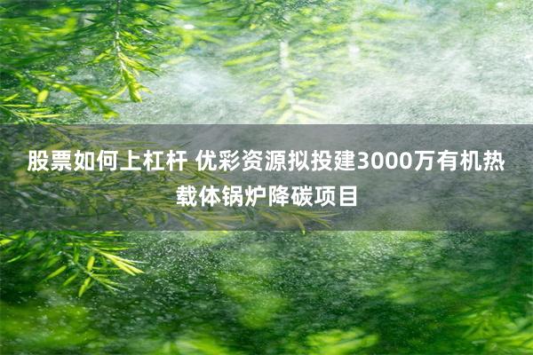 股票如何上杠杆 优彩资源拟投建3000万有机热载体锅炉降碳项目