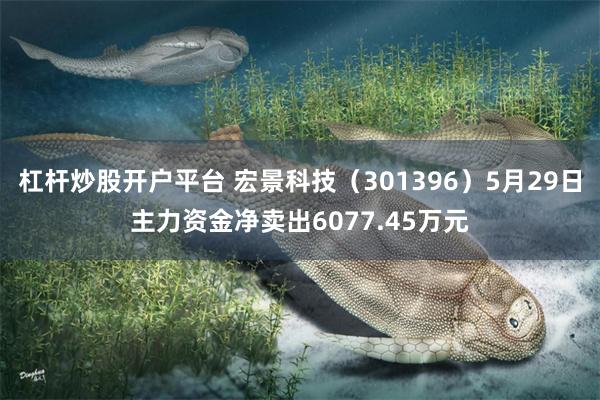 杠杆炒股开户平台 宏景科技（301396）5月29日主力资金净卖出6077.45万元