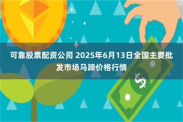 可靠股票配资公司 2025年6月13日全国主要批发市场马蹄价格行情