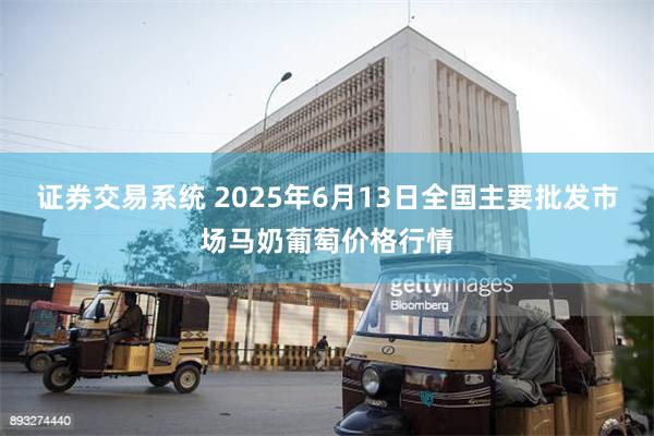 证券交易系统 2025年6月13日全国主要批发市场马奶葡萄价格行情