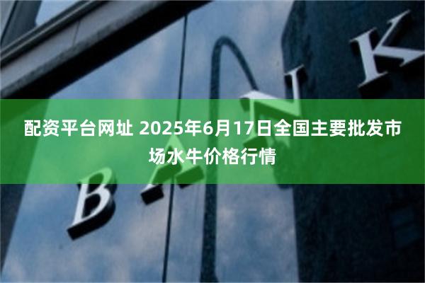 配资平台网址 2025年6月17日全国主要批发市场水牛价格行情