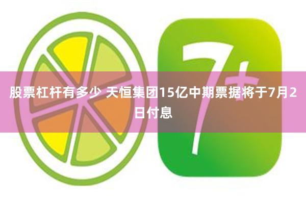 股票杠杆有多少 天恒集团15亿中期票据将于7月2日付息
