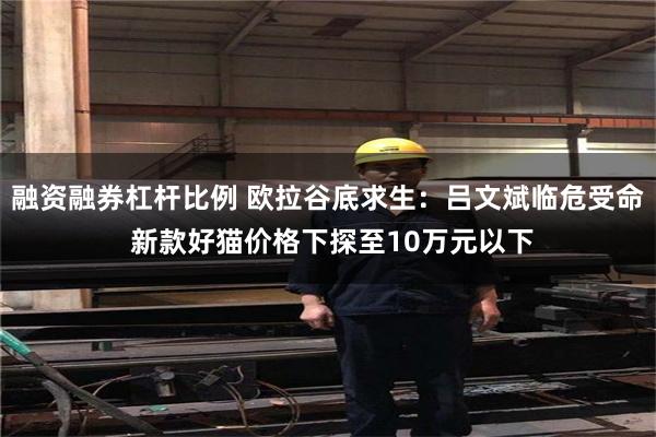 融资融券杠杆比例 欧拉谷底求生：吕文斌临危受命 新款好猫价格下探至10万元以下