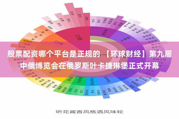 股票配资哪个平台是正规的 【环球财经】第九届中俄博览会在俄罗斯叶卡捷琳堡正式开幕