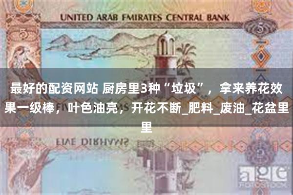 最好的配资网站 厨房里3种“垃圾”，拿来养花效果一级棒，叶色油亮，开花不断_肥料_废油_花盆里