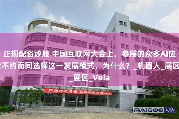 正规配资炒股 中国互联网大会上，参展的众多AI应用企业不约而同选择这一发展模式，为什么？_机器人_展区_Vela