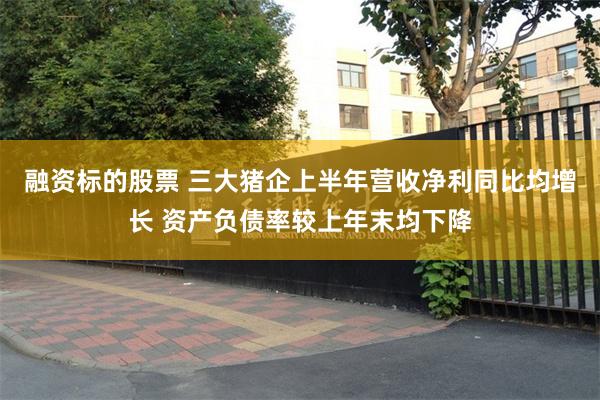 融资标的股票 三大猪企上半年营收净利同比均增长 资产负债率较上年末均下降