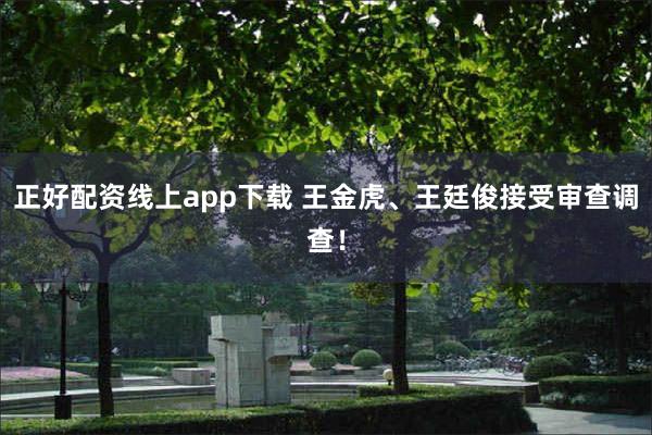 正好配资线上app下载 王金虎、王廷俊接受审查调查！